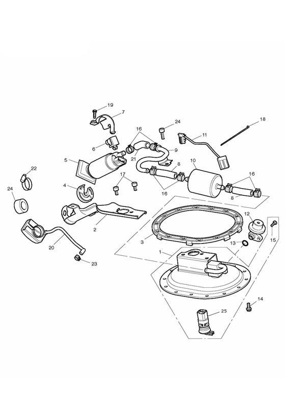 Diagram Fuel Pump & Fittings for your Triumph