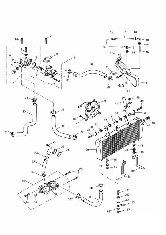 Diagram Cooling System for your 2002 Triumph TT600   