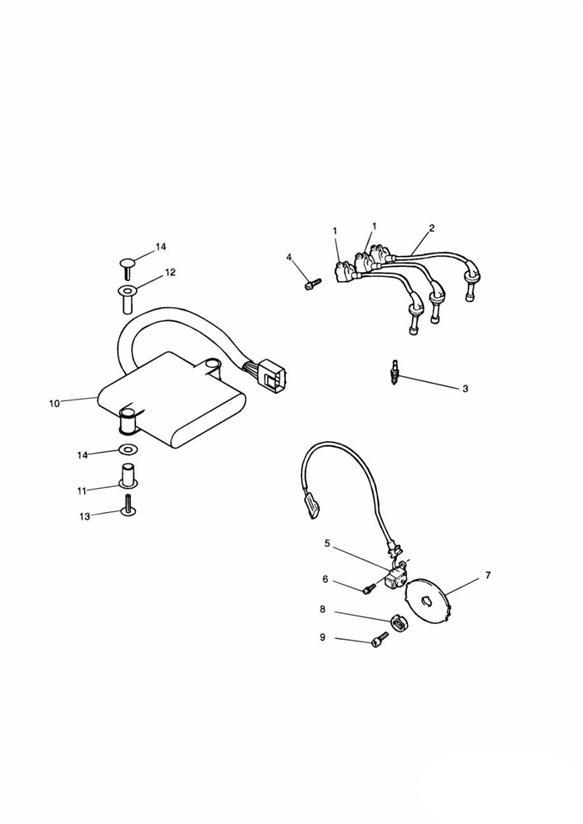 Diagram Ignition System 71699 +  + 111989 for your 2011 Triumph Thunderbird  Standard 