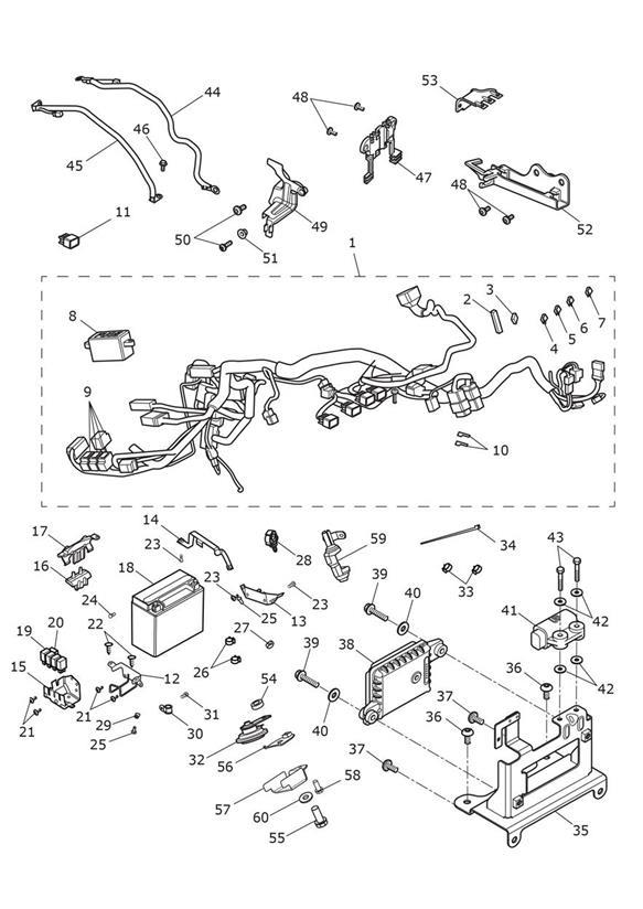 Diagram Electrical Equipment for your Triumph Thunderbird  