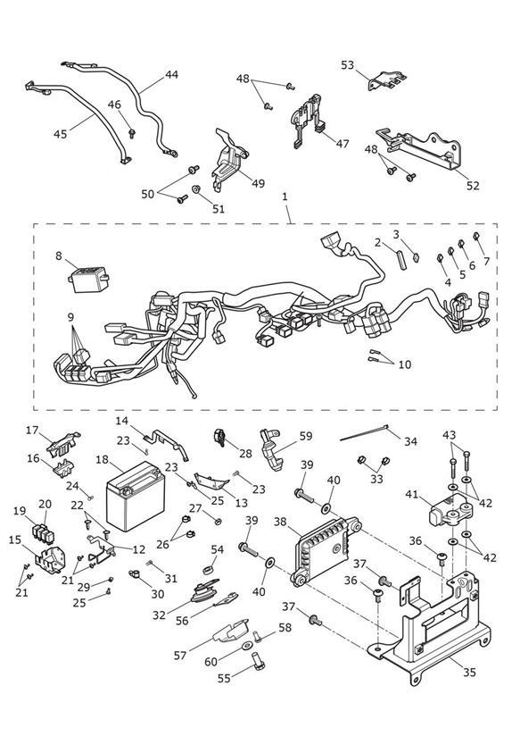 Diagram Electrical Equipment for your Triumph Thunderbird  