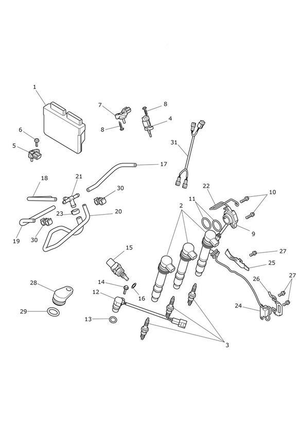 Diagram Engine Management System for your Triumph Bonneville Bobber  