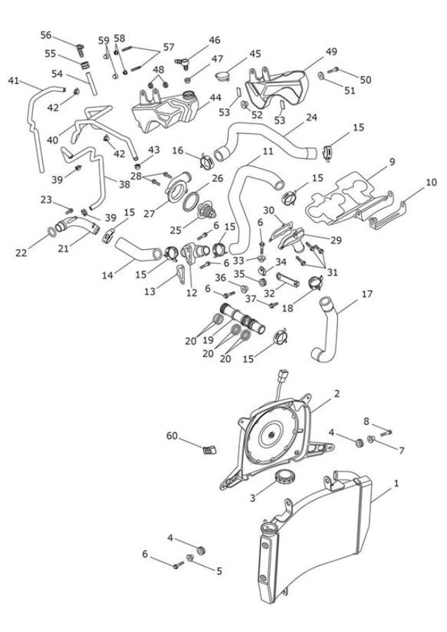 Diagram Cooling System for your 2019 Triumph Street Triple   