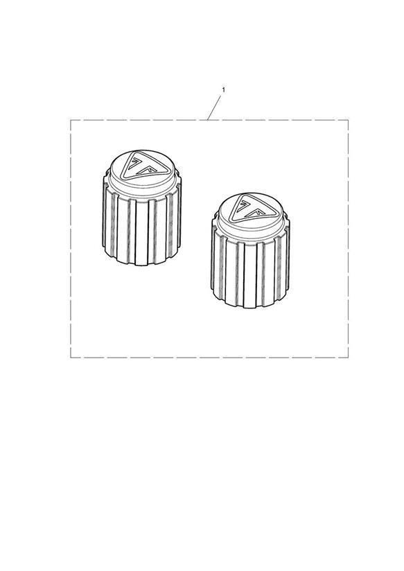 Full size assembly image of Valve Cap Kit, Laser Etch (1/1)