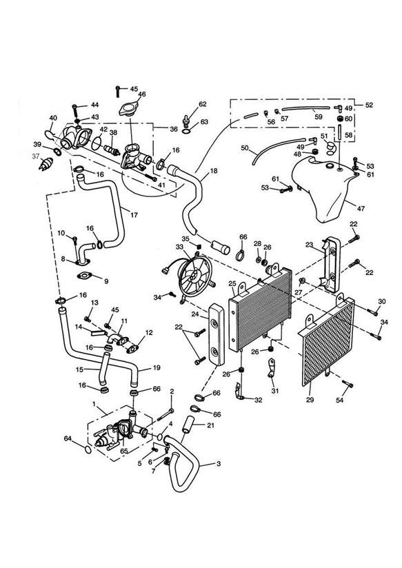 Diagram Cooling System for your Triumph