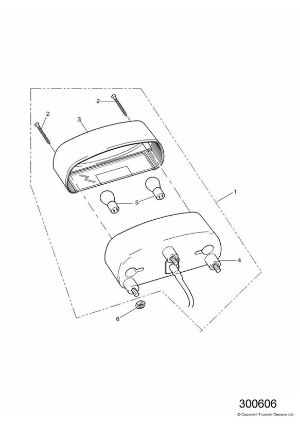 Diagram Rear Lamps for your Triumph