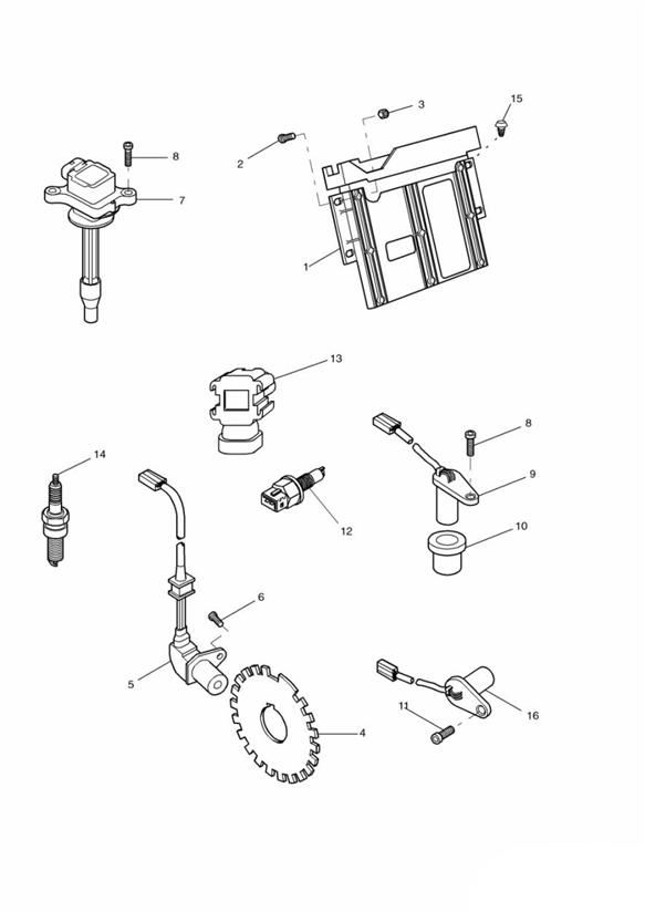 Diagram Engine Management System  + 89736 for your Triumph