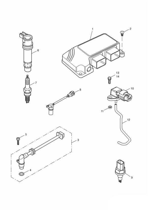 Diagram Engine Management System for your 2002 Triumph America   