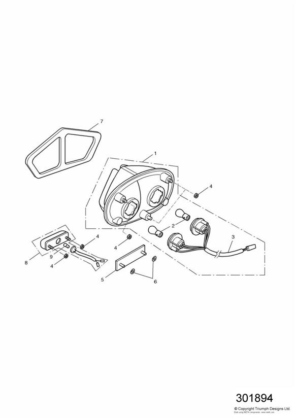 Diagram Rear Lamps for your Triumph