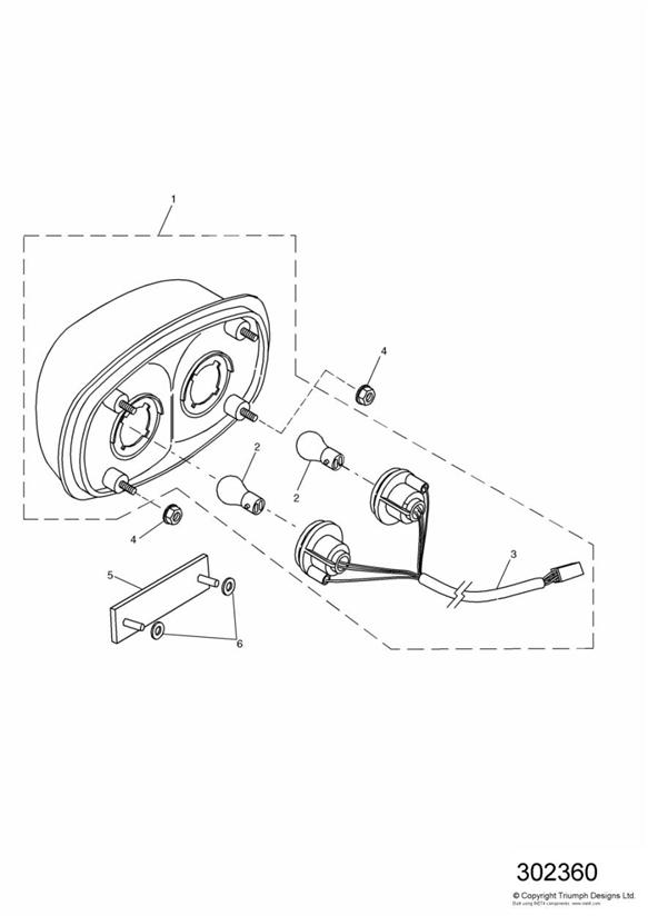 Diagram Rear Lamps for your Triumph