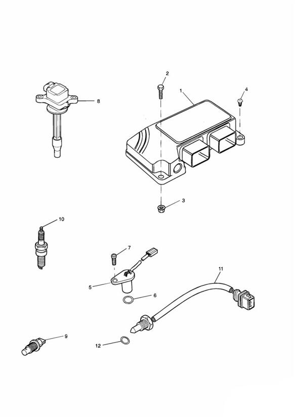 Diagram Engine Management System for your 2002 Triumph America   