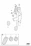 Diagram Brake control brake pedal for your 2011 Volvo C30