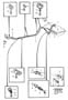 Diagram Fuel lines from tank to engine for your 2008 Volvo S80