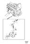 Diagram Oil cooler for your 2002 Volvo S80 2.9l 6 cylinder Turbo