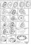 Diagram Wheel equipment for your 2015 Volvo V60 2.5l 5 cylinder Turbo