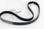 View Serpentine Belt Full-Sized Product Image 1 of 9
