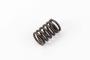 Engine Valve Spring