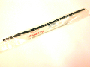 View 38472-S0X-A01 Full-Sized Product Image