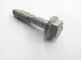 View N10209605 Full-Sized Product Image
