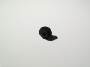 View 998164 Full-Sized Product Image for your Volvo S80